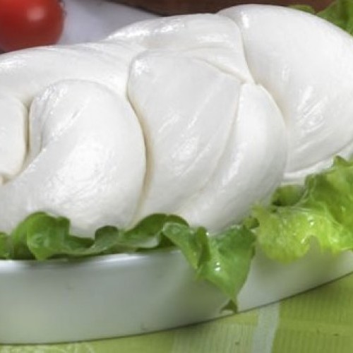 Italian Fresh Raw milk big plaits of mozzarella 