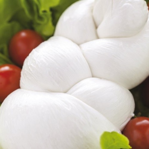 Italian Fresh mozzarella made of DOP buffalo's milk in tray of 250 g - case of 4 kg