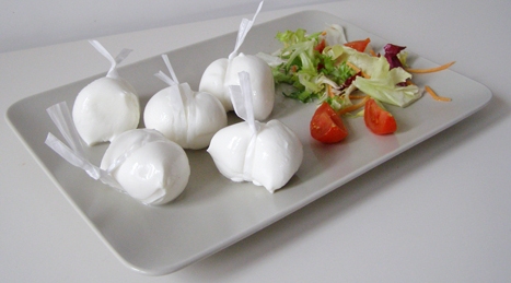 Italian Fresh raw milk mozzarella 