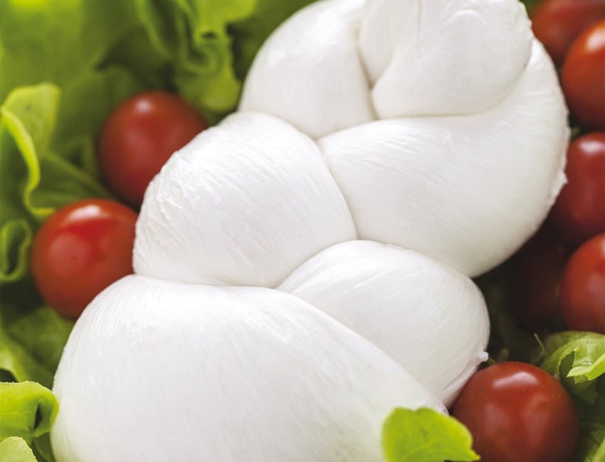 Italian Fresh mozzarella made of DOP buffalo's milk in tray of 250 g - case of 4 kg